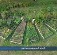 Ce plante sunt cele mai potrivite pentru tratamentul problemelor dermatologice. Raluca Olaru este o enciclopedie vie, care tratează diverse afecțiuni în mod naturist